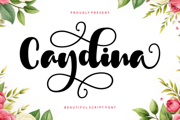 Caydina: A Designer's Real-World Review for Premium Branding