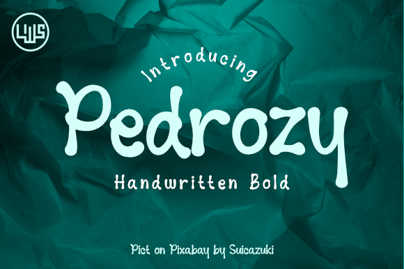Reviewing Pedrozy: A Handwritten Font for Modern Editorial Design